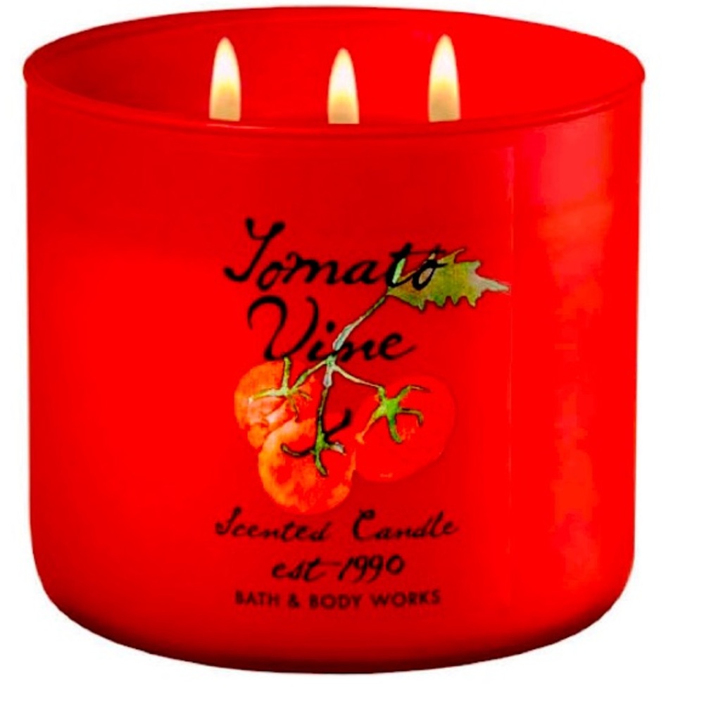 TOMATO VINE RARE HTF